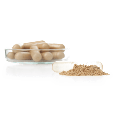 Estratto + Polvere di funghi in capsule